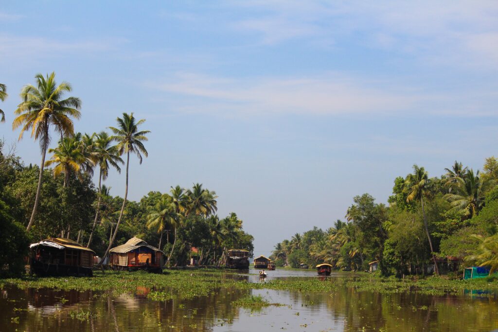 Alleppey Backwaters Traditional Houseboat on Serene Canals